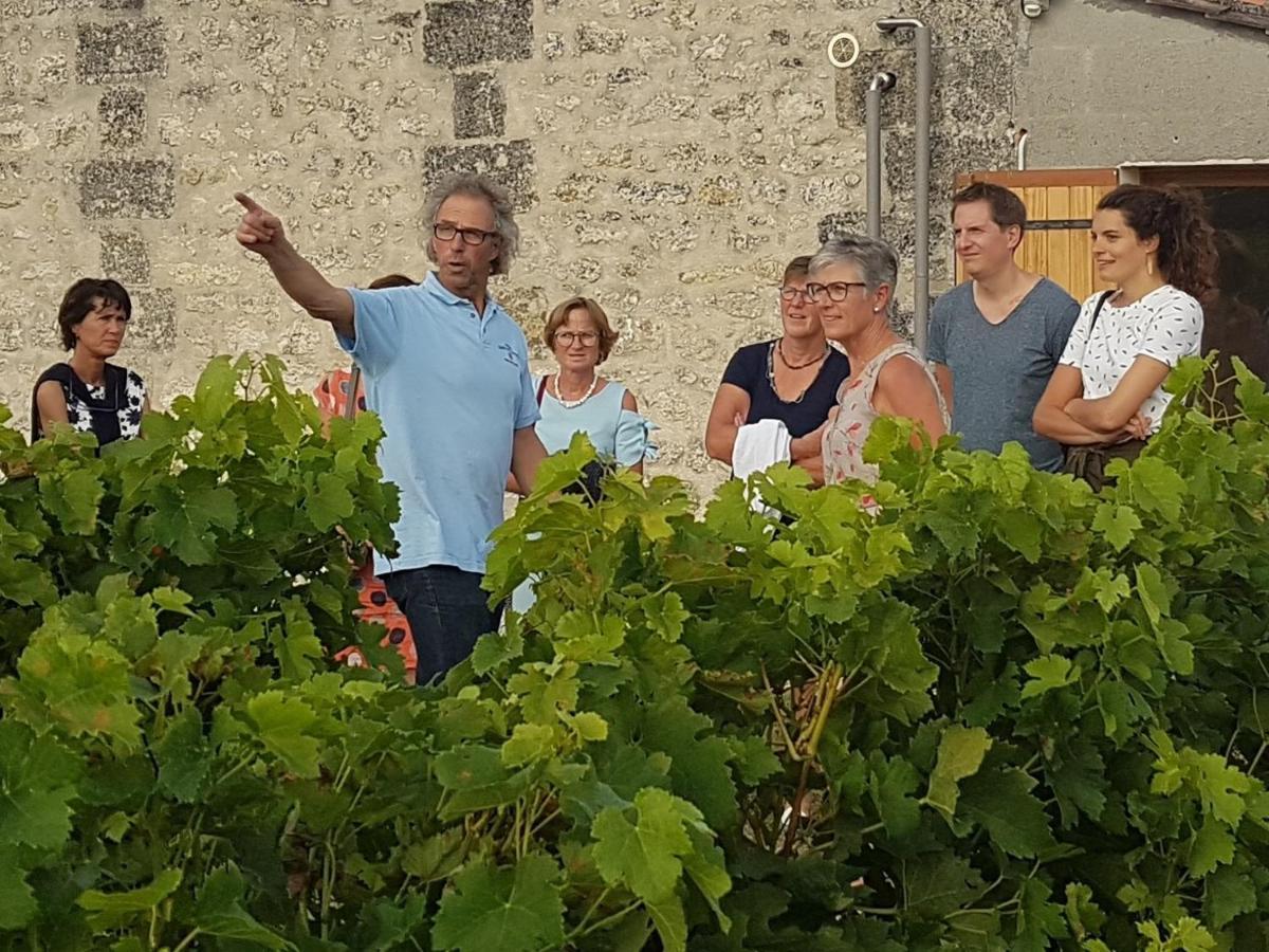 Guest house Le Coeur Des Vignes Pauillac