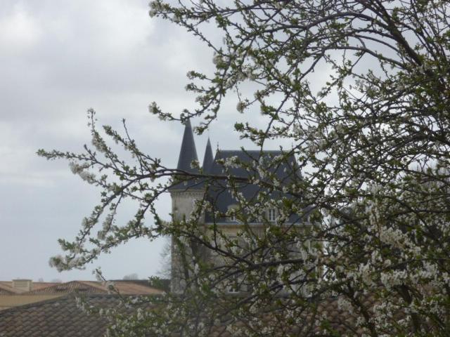 Guest house Le Coeur Des Vignes